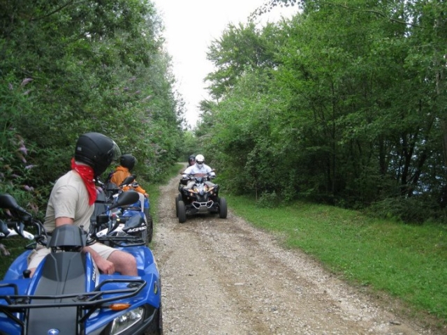 Excursion in the woods 